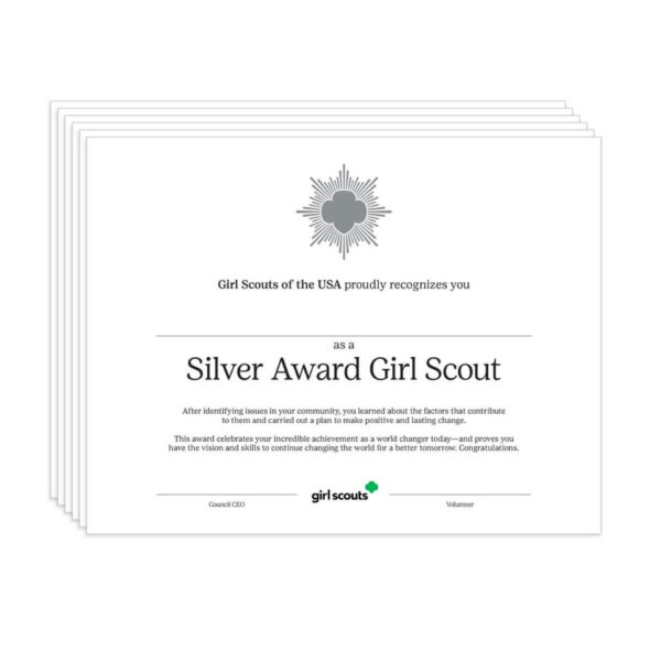 Silver Award Certificate - 12 pack